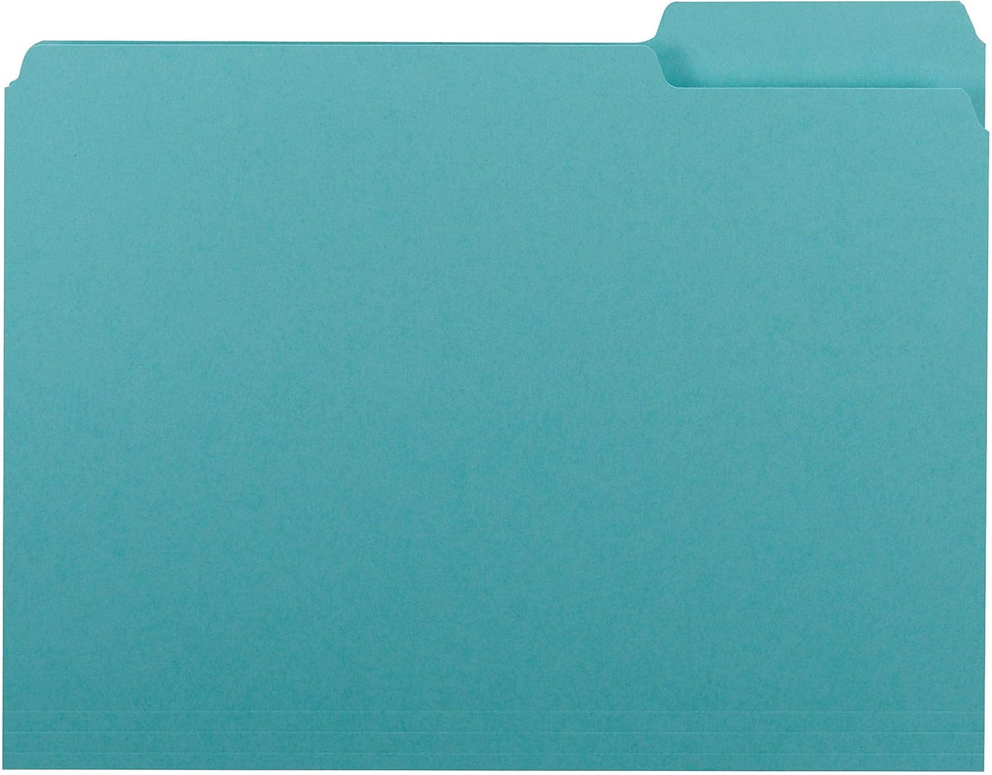 Smead Interior File Folder, 1/3-Cut Tab, Letter Size, Aqua, 100 per Box, Expandable File Folders for Filing Cabinet