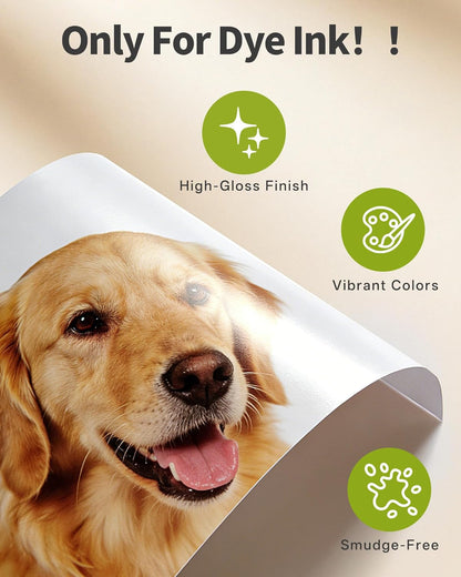 Uinkit 100 Sheets Thick Inkjet Glossy Photo Paper Picture 8.5x11 62lb 230g 11.1mil Cardstock Postcard Brochure For Dye Ink Inkjet Printer