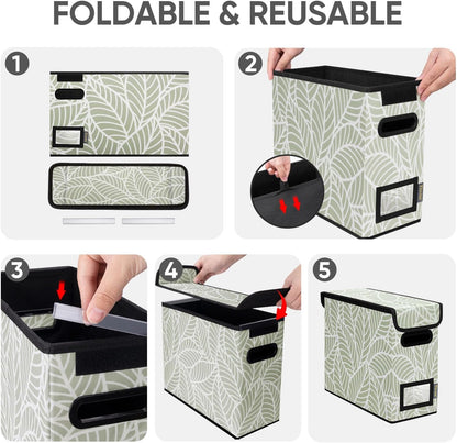 BALEINE File Organizer Box with Lid, Collapsible File Folder Organizer with Plastic Slide, Hanging File Folder Box for Office Document Storage (1 Pack, Black)