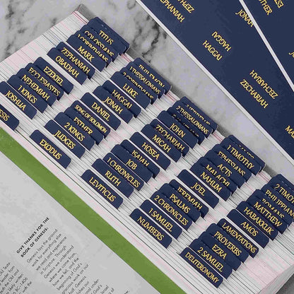 Thinkor- Repositionable Bible Tabs, 66 Pink Theme Laminated Tabs for Women, Thinkor for Study Bible
