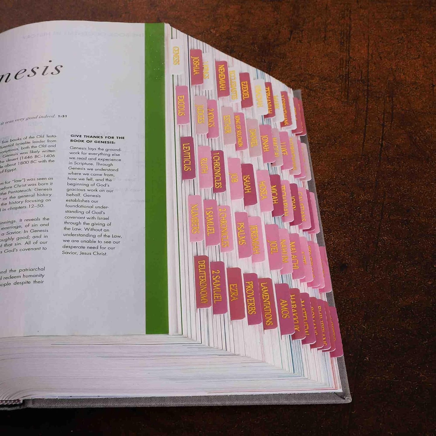 Thinkor- Repositionable Bible Tabs, 66 Pink Theme Laminated Tabs for Women, Thinkor for Study Bible
