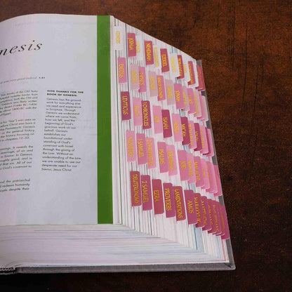 Thinkor- Repositionable Bible Tabs, 66 Pink Theme Laminated Tabs for Women, Thinkor for Study Bible