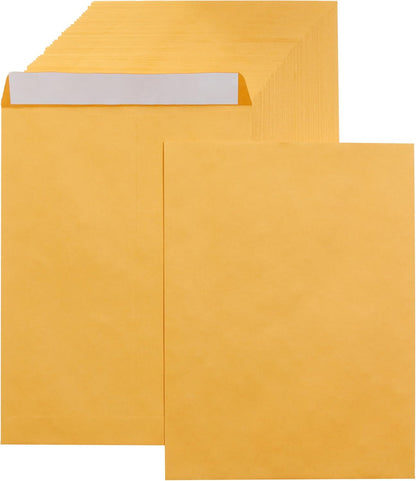 Amazon Basics Catalog Mailing Envelopes, Peel and Seal, 10 x 13 Inch, White, 100-Pack