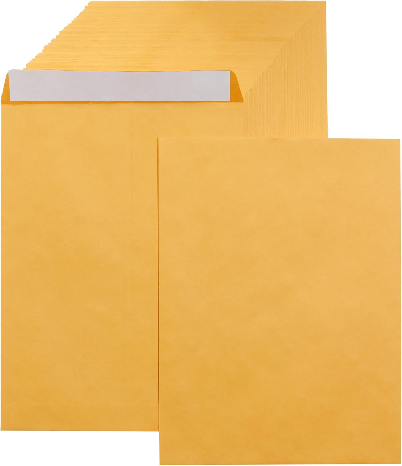 Amazon Basics Catalog Mailing Envelopes, Peel and Seal, 9" x 12", Brown Kraft, 100-Pack