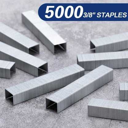 Deli Staples, 10000 Staples, Standard Staple for Desktop Staplers, 1/4'' Length, 210/Strip, 2 Boxes of 5000 Each