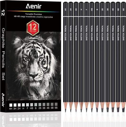 Aenir Sketch Pencils for Drawing, Set of 12 Drawing Pencils for Sketching Medium (6B - 4H), Artist Graphite Pencils, Sketch Set for Artists for Sketching Supplies, Art Supplies.