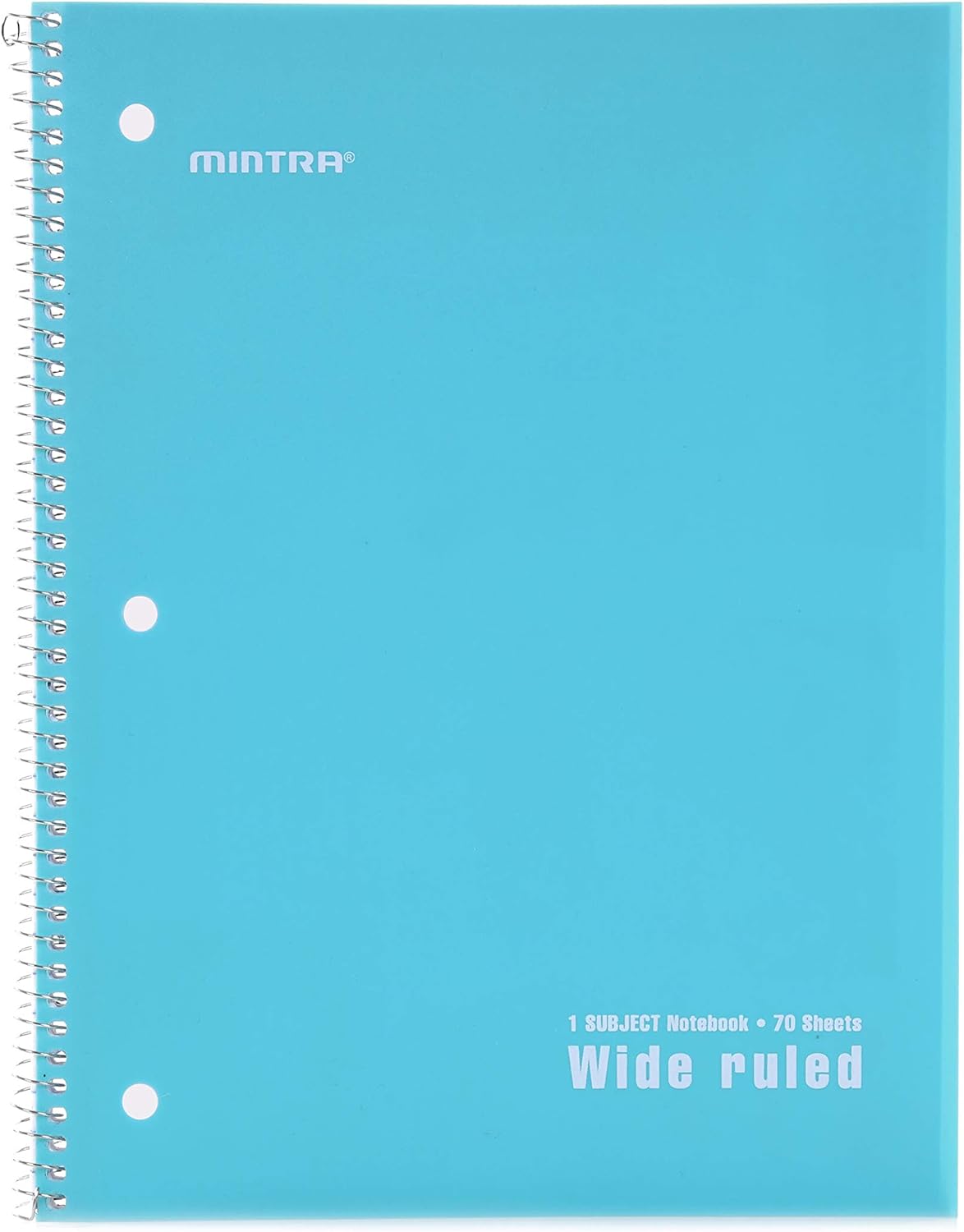 Mintra Office Spiral Notebooks, Wirebound, Journals for School, Work, Business, Aesthetic Stationery, Writing Pads, Teacher & Student Supplies (6, Pastel, College)