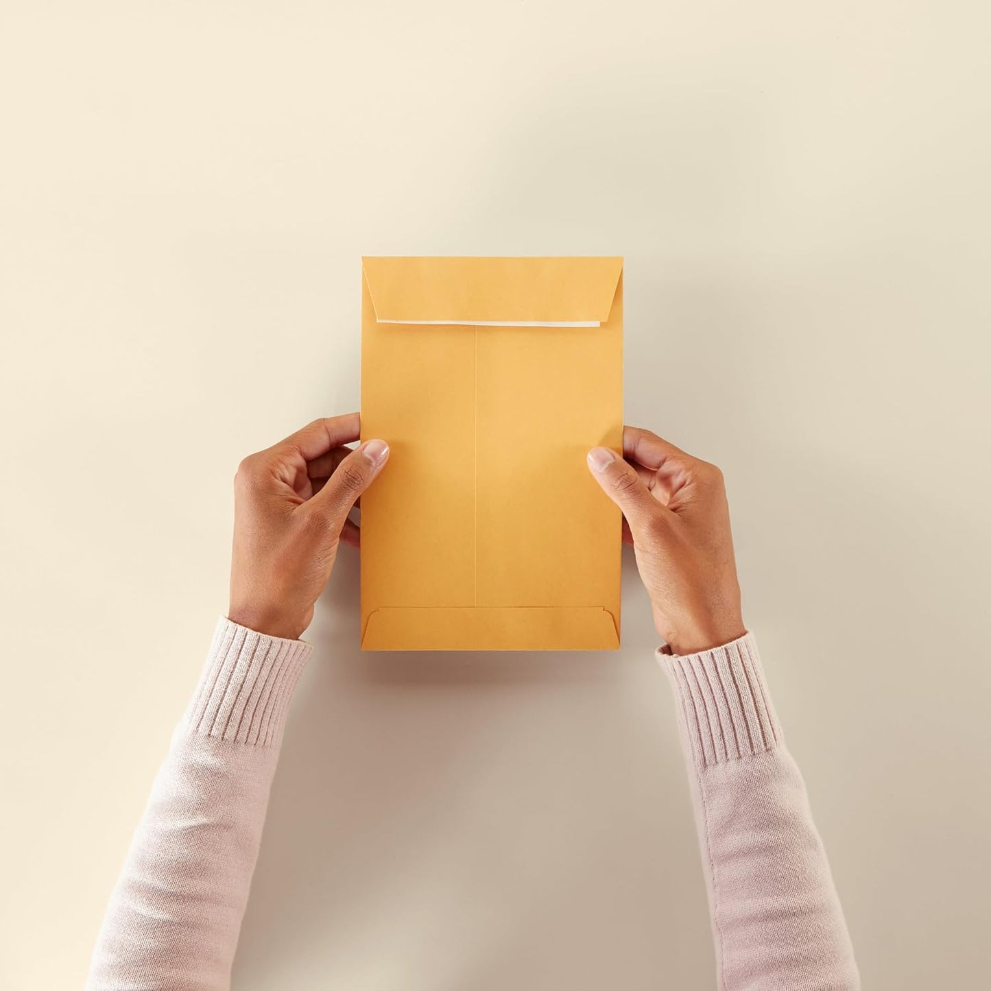 Amazon Basics Catalog Mailing Envelopes, Peel and Seal, 9" x 12", Brown Kraft, 100-Pack