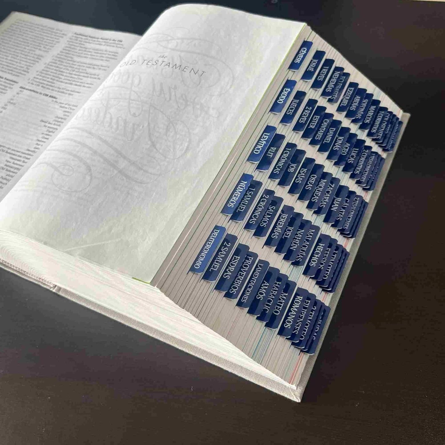 Thinkor- Repositionable Bible Tabs, 66 Pink Theme Laminated Tabs for Women, Thinkor for Study Bible