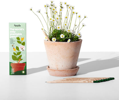 SproutWorld Wood-Cased Pencils | Mindful Thoughts Edition | HB Pre-Sharpened Graphite Plantable Wooden Pencils with Flower, Herb & Vegetable Seeds | Gift with Inspirational Quotes | 8 Pack