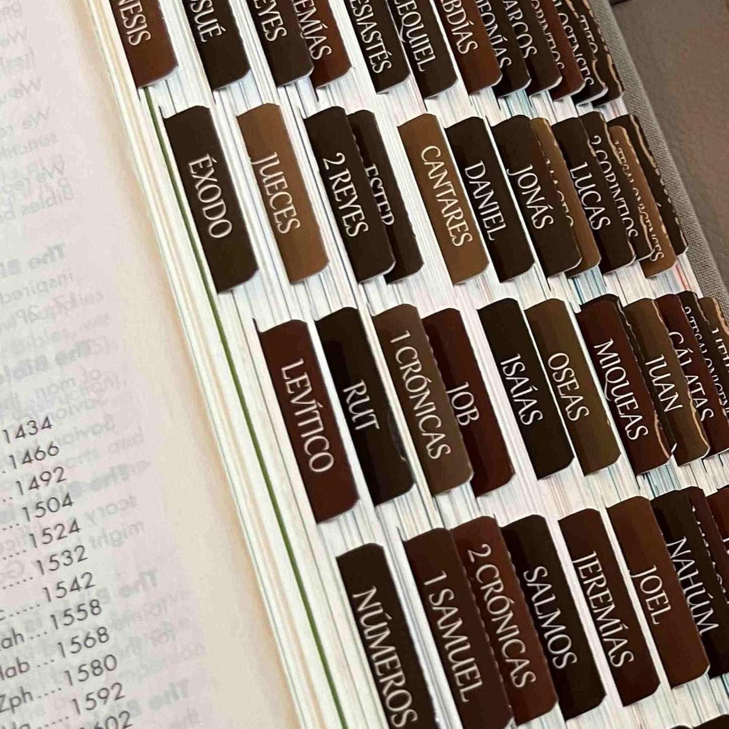 Thinkor Reposition Laminated Bible Tabs, Large Print Stickers, Easy to Read & Apply Bible Tabs for Women & Man (Earthy Brown)