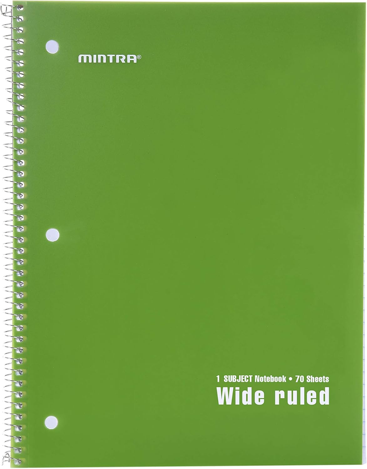 Mintra Office Spiral Notebooks, Wirebound, Journals for School, Work, Business, Aesthetic Stationery, Writing Pads, Teacher & Student Supplies (6, Pastel, College)