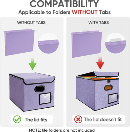 BALEINE File Organizer Box with Lid, Collapsible File Folder Organizer with Plastic Slide, Hanging File Folder Box for Office Document Storage (1 Pack, Black)