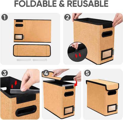 BALEINE File Organizer Box with Lid, Collapsible File Folder Organizer with Plastic Slide, Hanging File Folder Box for Office Document Storage (1 Pack, Black)