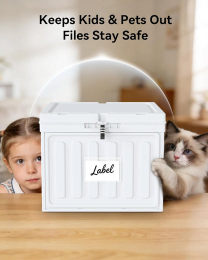 Oterri Plastic File Box with Lid for Letter Size Hanging File Folders, Hanging File Folder Box for Home, Office, School, File Cabinet, Assembly File Organizer, Pink，Large-1 Pack Without Folders