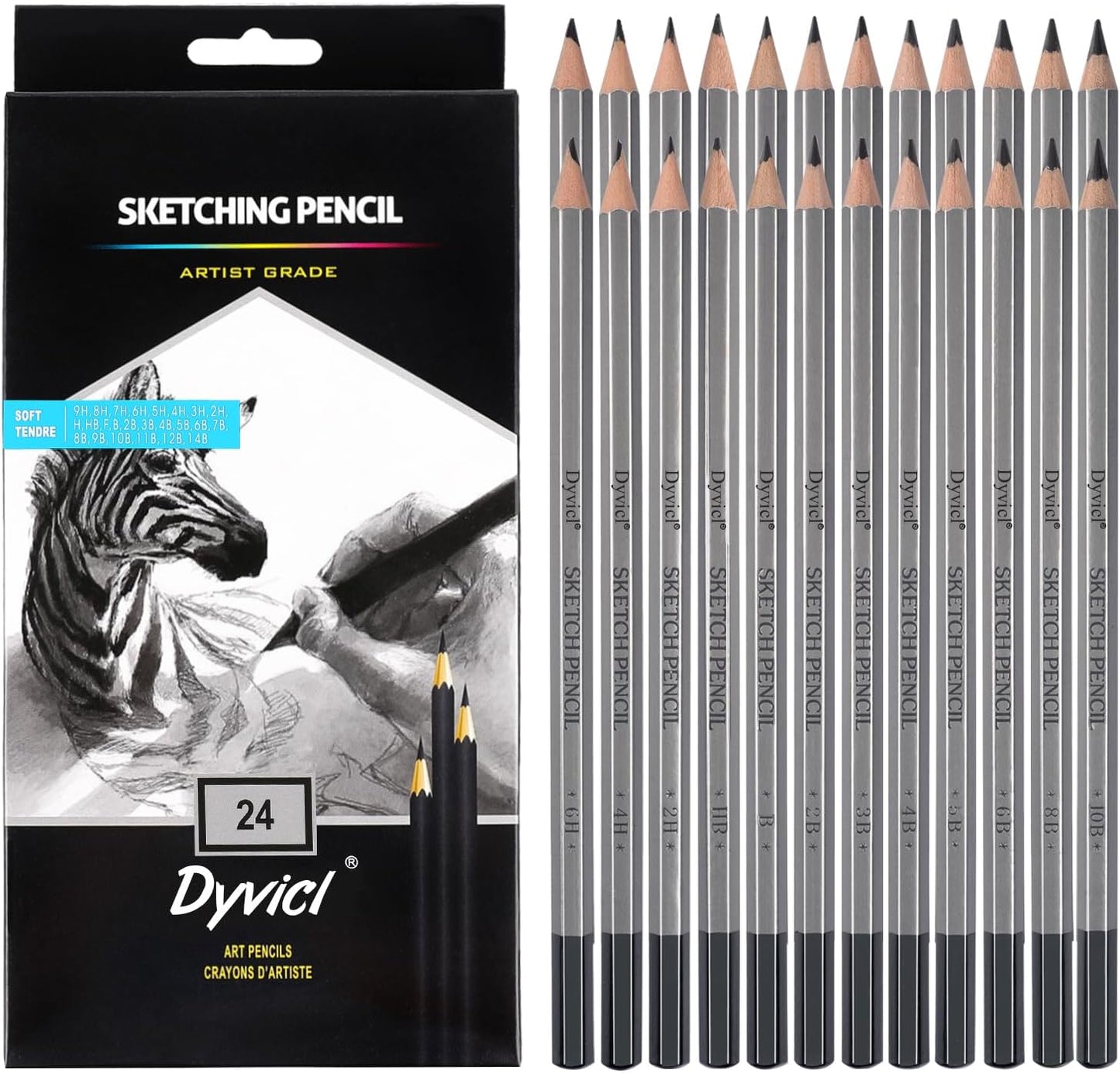Dyvicl Professional Drawing Sketching Pencil Set - 12 Pieces Drawing Pencils 10B, 8B, 6B, 5B, 4B, 3B, 2B, B, HB, 2H, 4H, 6H Graphite Pencils for Kids, Beginners, Pro Artists