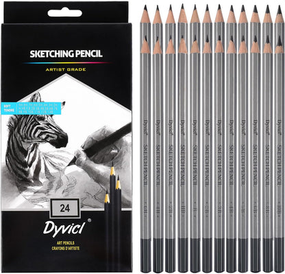 Dyvicl Professional Drawing Sketching Pencil Set - 12 Pieces Drawing Pencils 10B, 8B, 6B, 5B, 4B, 3B, 2B, B, HB, 2H, 4H, 6H Graphite Pencils for Kids, Beginners, Pro Artists
