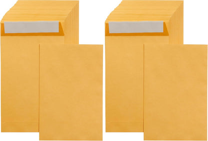 Amazon Basics Catalog Mailing Envelopes, Peel and Seal, 9" x 12", Brown Kraft, 100-Pack