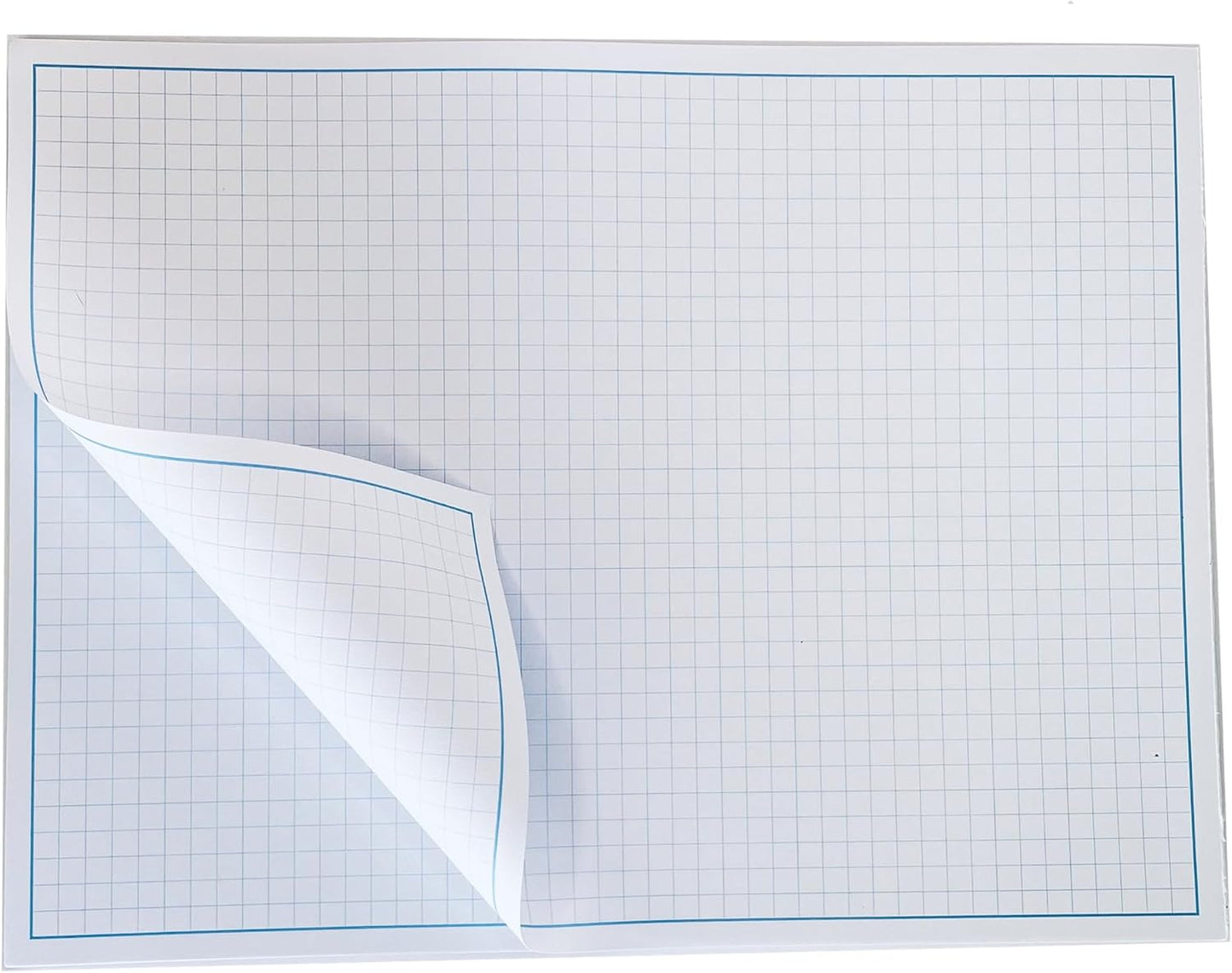 Reskid Blueprint and Graph Paper Pad - 50 Sheets Per Pad - 70lb Text - For Drawing, Designing, and More - Perfect Tool for Young Artists, Budding Designers, and Classroom Use (1, 12x18)