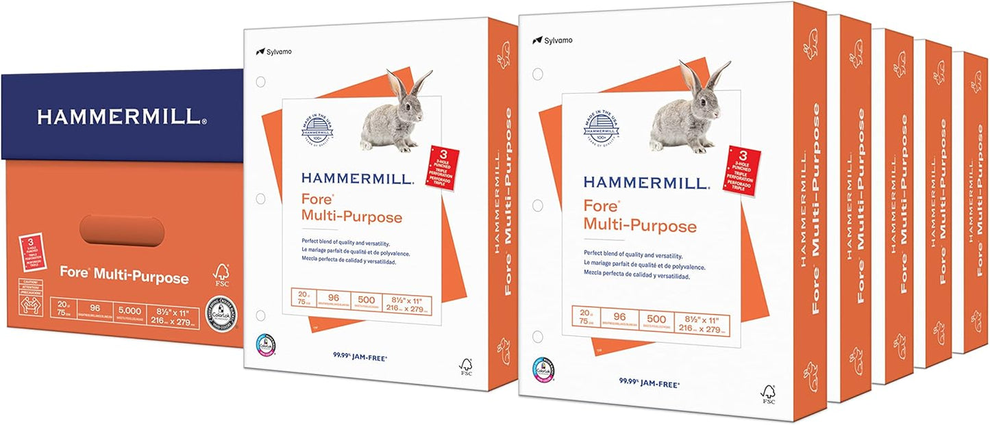 Hammermill Printer Paper, Fore Multipurpose 20 lb Copy Paper, 8.5 x 11-1 Ream (500 Sheets) - 96 Bright, Made in the USA, 103267