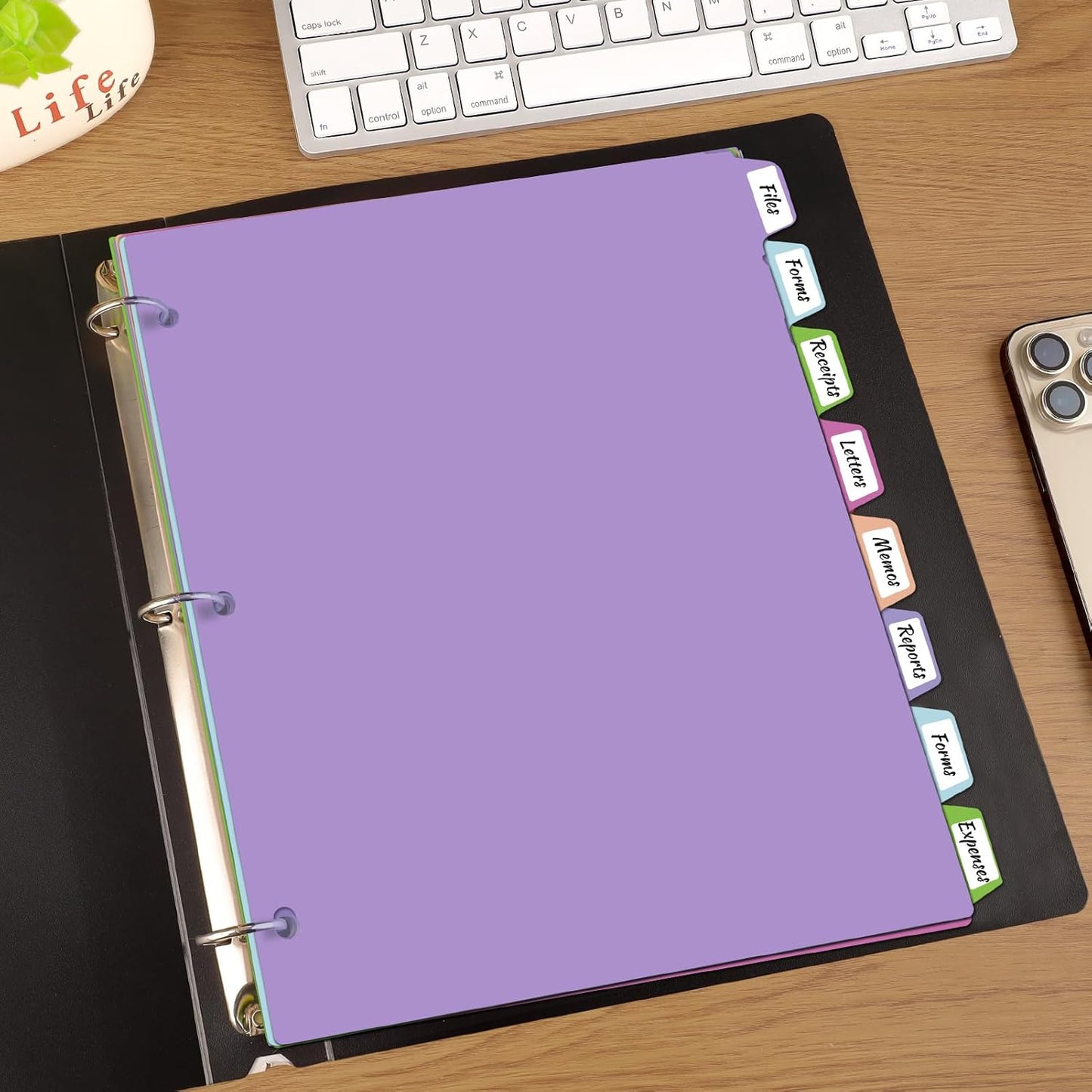 habgp 16Pcs/2 Set Binder Dividers with Tabs, 8 Color Tab for 3 Ring Binder Dividers, Page Folder Dividers for 3 Ring Binder Sheet Paper Protectors, Plastic Tabbed File Dividers with Tabs S099