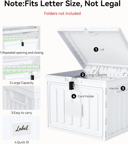 Oterri Plastic File Box with Lid for Letter Size Hanging File Folders, Hanging File Folder Box for Home, Office, School, File Cabinet, Assembly File Organizer, Pink，Large-1 Pack Without Folders