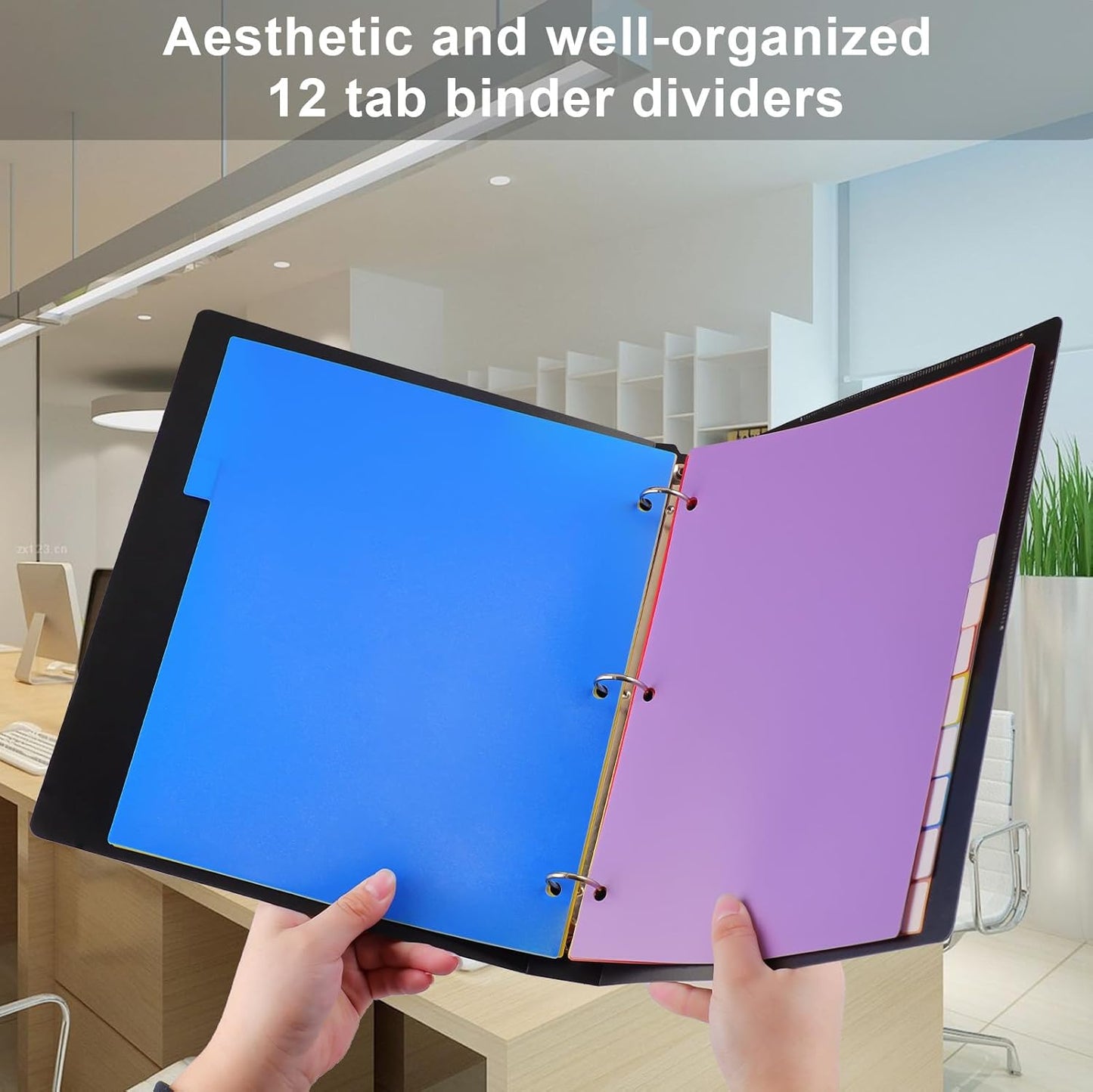 HABGP 12 Tab Dividers for 3 Ring Binder, 12 Pcs Multicolor 3 Ring Binder Dividers with Tabs, Page Folder Dividers, Plastic Tabbed File Dividers with Tabs, Three Ring Binder Index Dividers, 1 Set