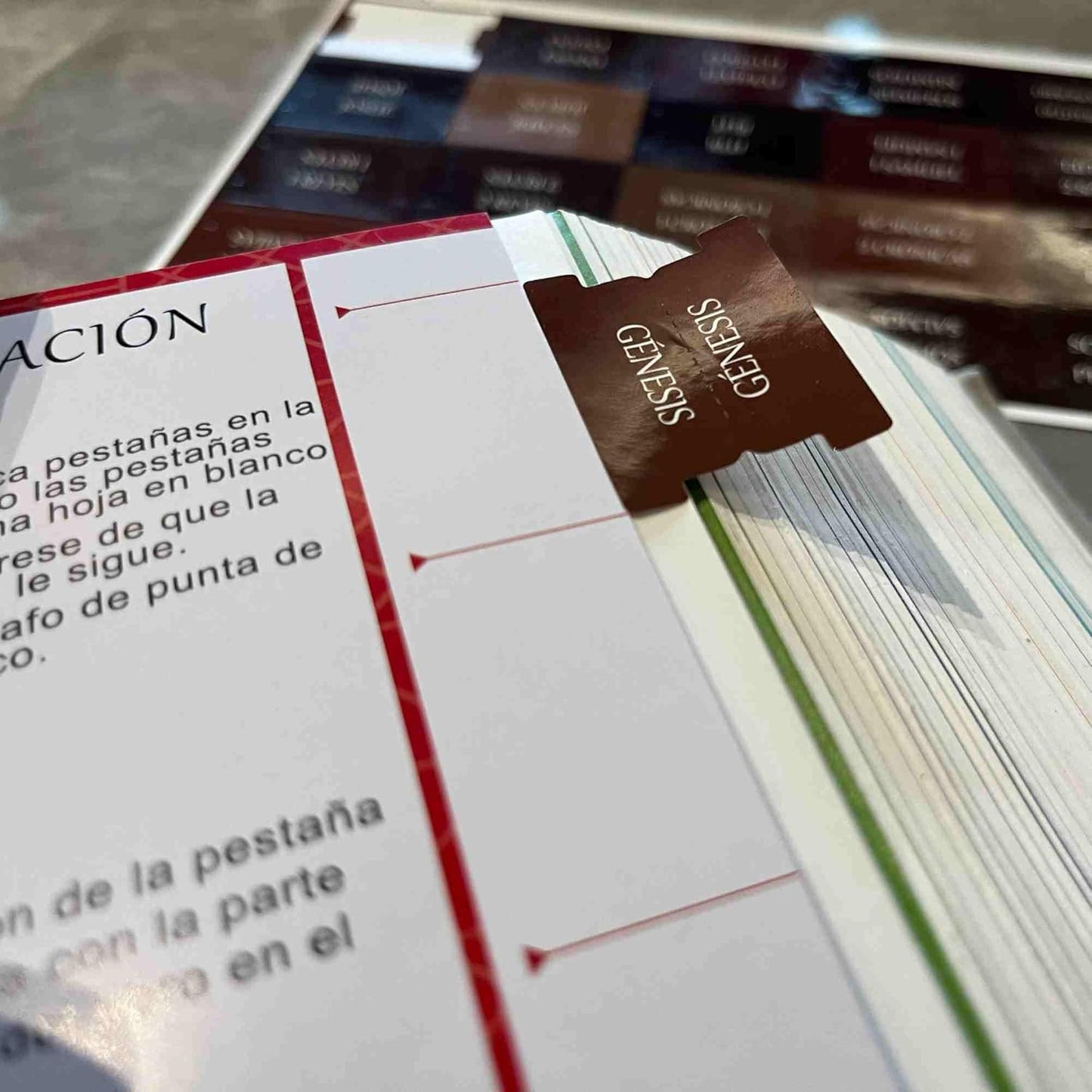 Thinkor Reposition Laminated Bible Tabs, Large Print Stickers, Easy to Read & Apply Bible Tabs for Women & Man (Earthy Brown)