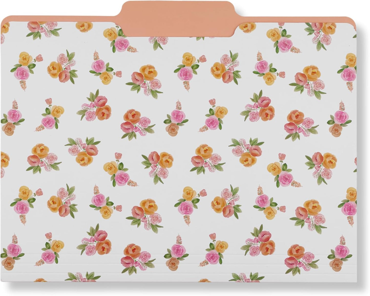 Steel Mill & Co Cute File Folders, Set of 9, Document Organizer for Filing Cabinet, Decorative Letter Size Files, Wanderlust