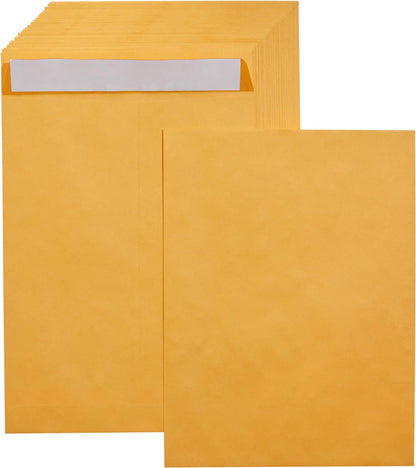 Amazon Basics Catalog Mailing Envelopes, Peel and Seal, 10 x 13 Inch, White, 100-Pack