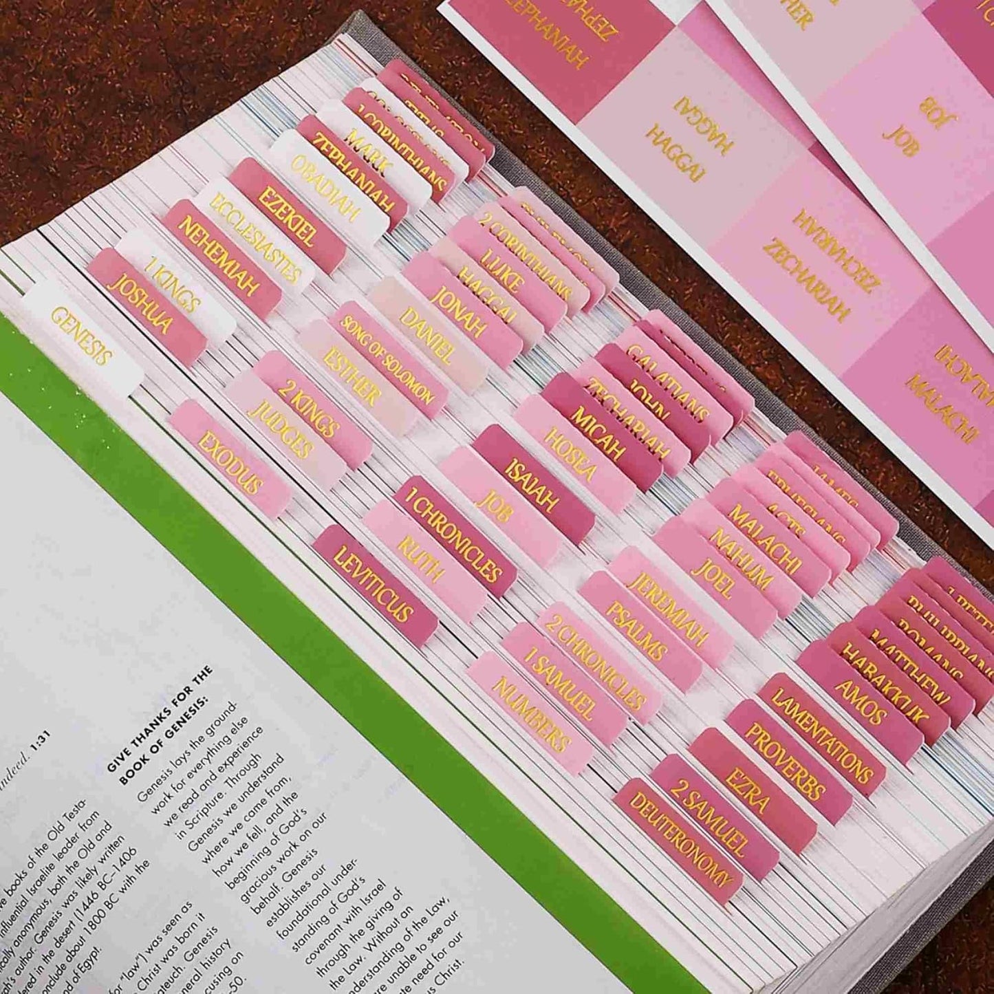 Thinkor- Repositionable Bible Tabs, 66 Pink Theme Laminated Tabs for Women, Thinkor for Study Bible