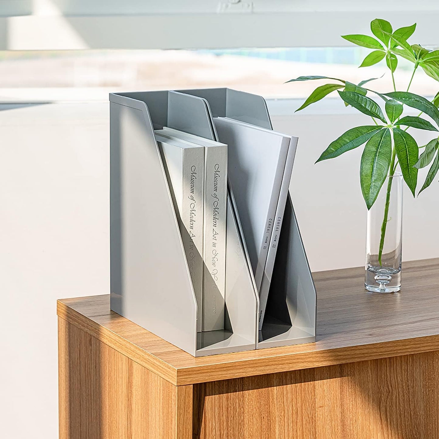 carrotez Open Front Magazine File Holder, Plastic Magazine Rack, Vertical File Organizers for Desk, Office Organization Essentials, 10.8" x 3.7" x 12.6" - 2 Pack, White