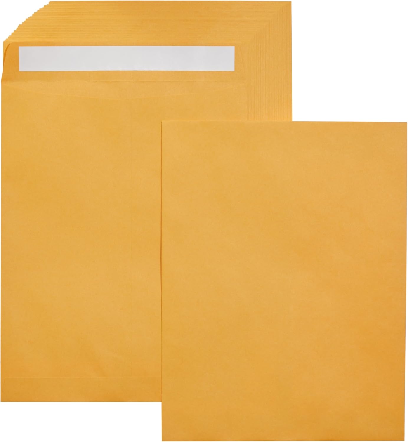 Amazon Basics Catalog Mailing Envelopes, Peel and Seal, 9" x 12", Brown Kraft, 100-Pack