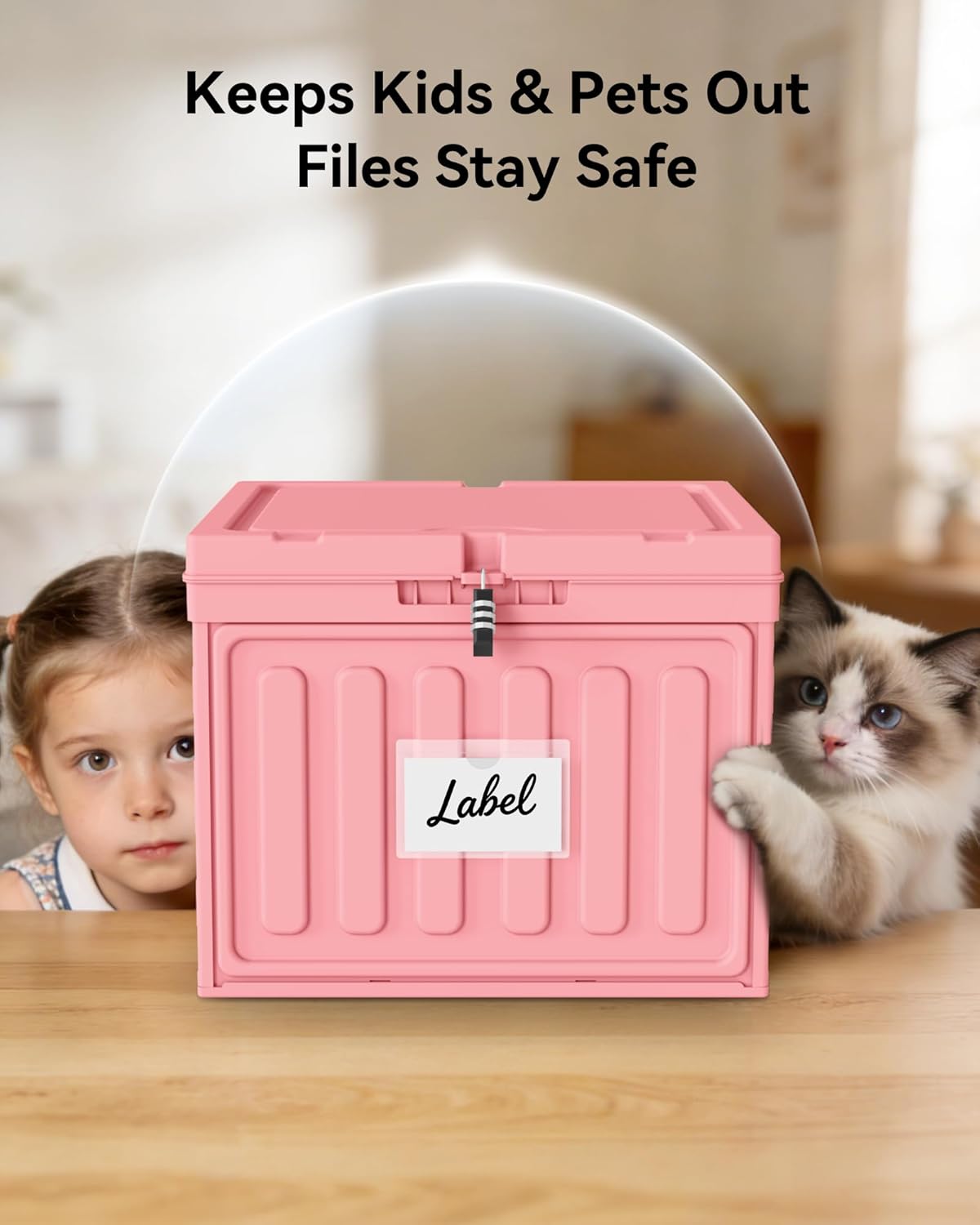 Oterri Plastic File Box with Lid for Letter Size Hanging File Folders, Hanging File Folder Box for Home, Office, School, File Cabinet, Assembly File Organizer, Pink，Large-1 Pack Without Folders