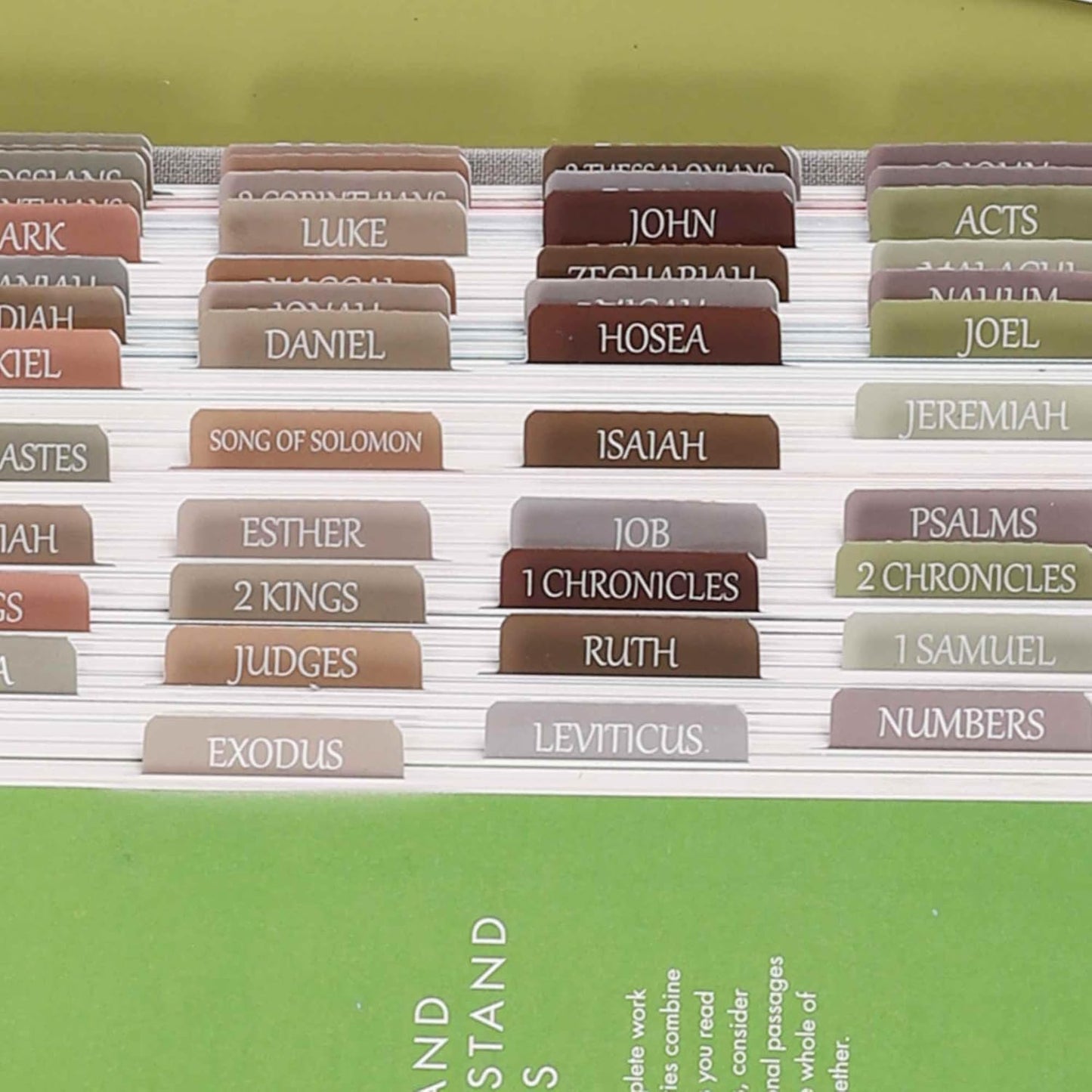 Thinkor- Repositionable Bible Tabs, 66 Pink Theme Laminated Tabs for Women, Thinkor for Study Bible