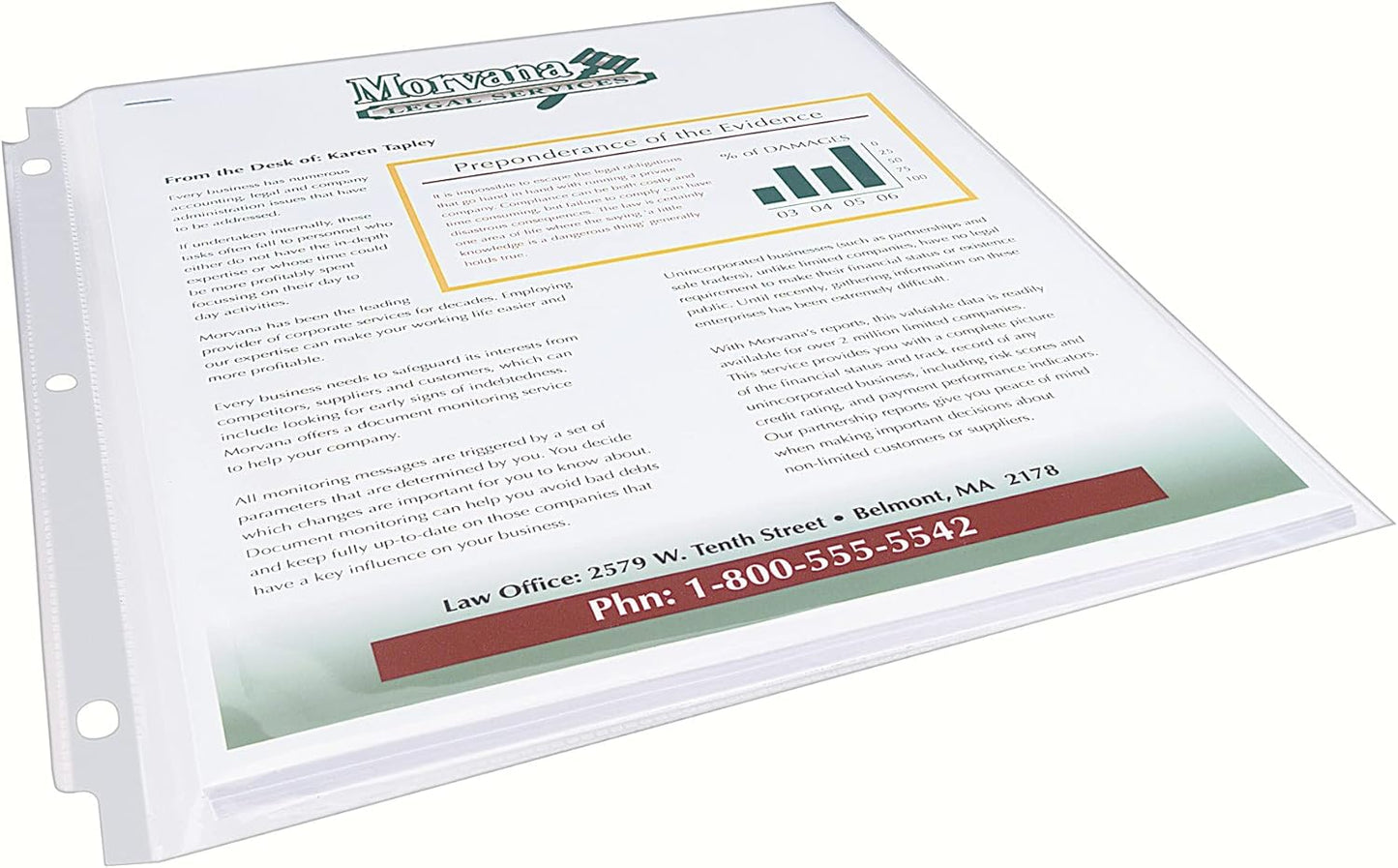 Avery Clear High-Capacity Sheet Protectors, Hold 50 Sheets, Heavyweight, 25 Multi Page Protectors (74171)