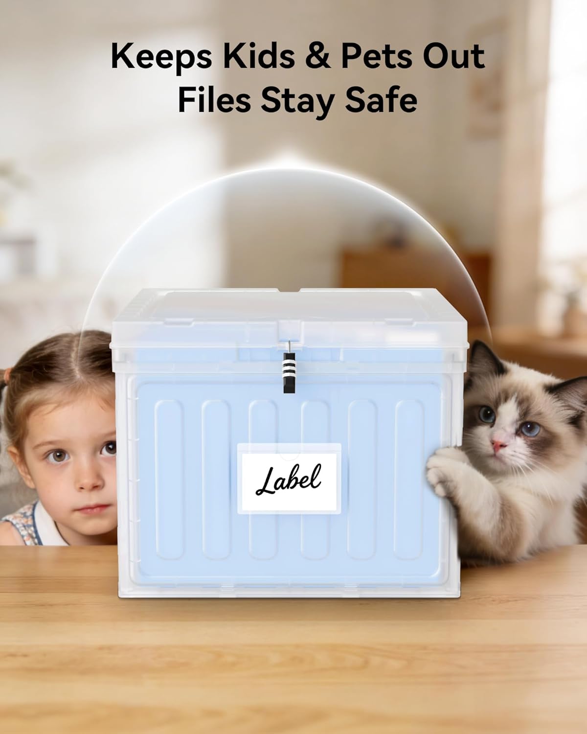 Oterri Plastic File Box with Lid for Letter Size Hanging File Folders, Hanging File Folder Box for Home, Office, School, File Cabinet, Assembly File Organizer, Pink，Large-1 Pack Without Folders