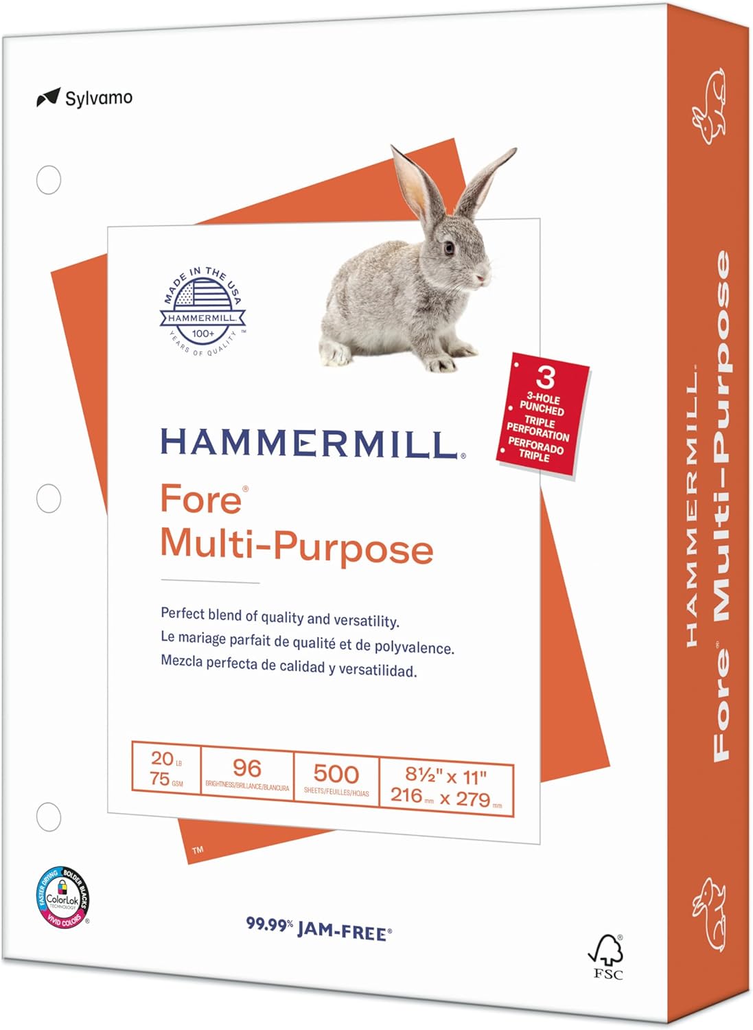 Hammermill Printer Paper, Fore Multipurpose 20 lb Copy Paper, 8.5 x 11-1 Ream (500 Sheets) - 96 Bright, Made in the USA, 103267