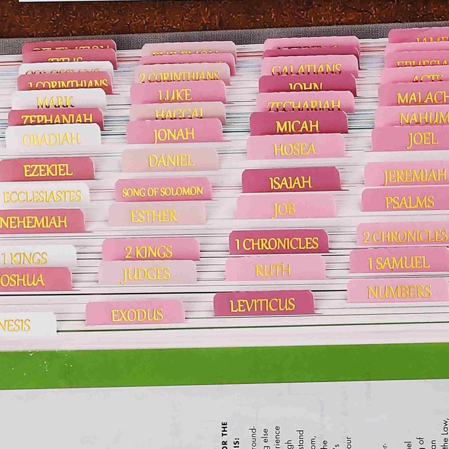 Thinkor- Repositionable Bible Tabs, 66 Pink Theme Laminated Tabs for Women, Thinkor for Study Bible