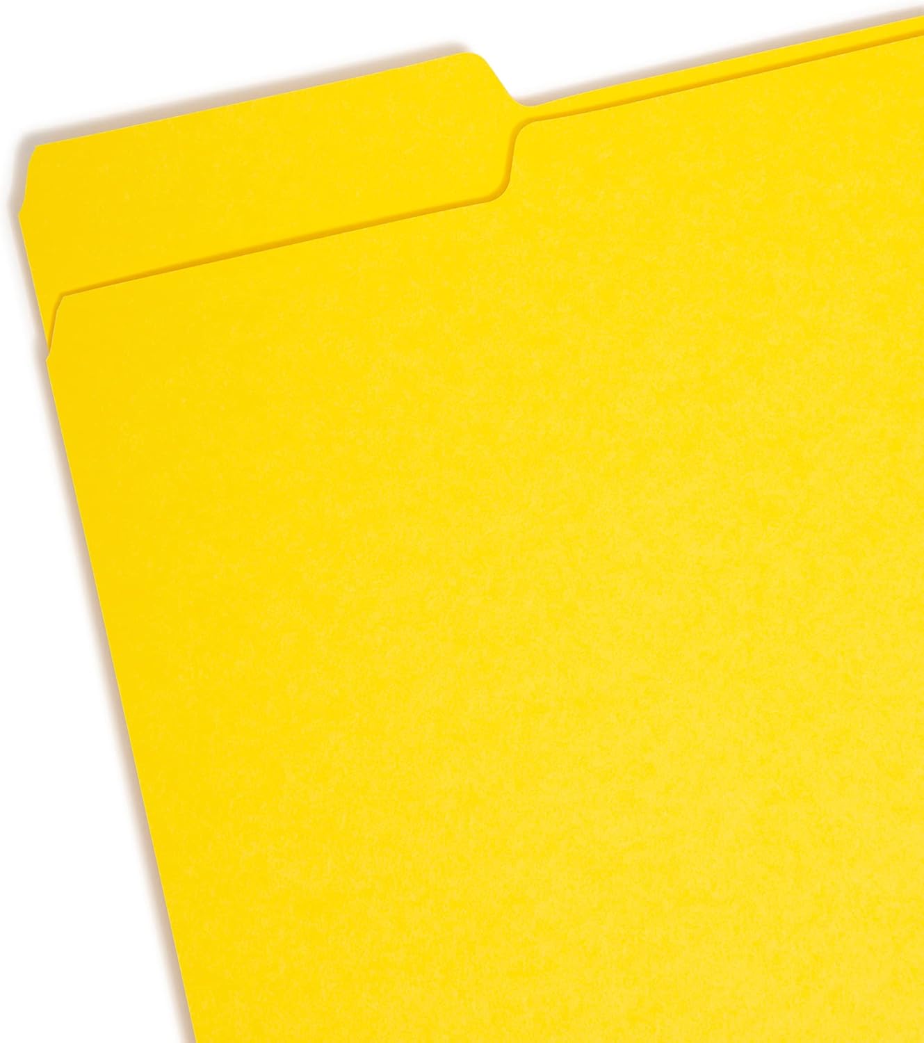 Smead Interior File Folder, 1/3-Cut Tab, Letter Size, Aqua, 100 per Box, Expandable File Folders for Filing Cabinet