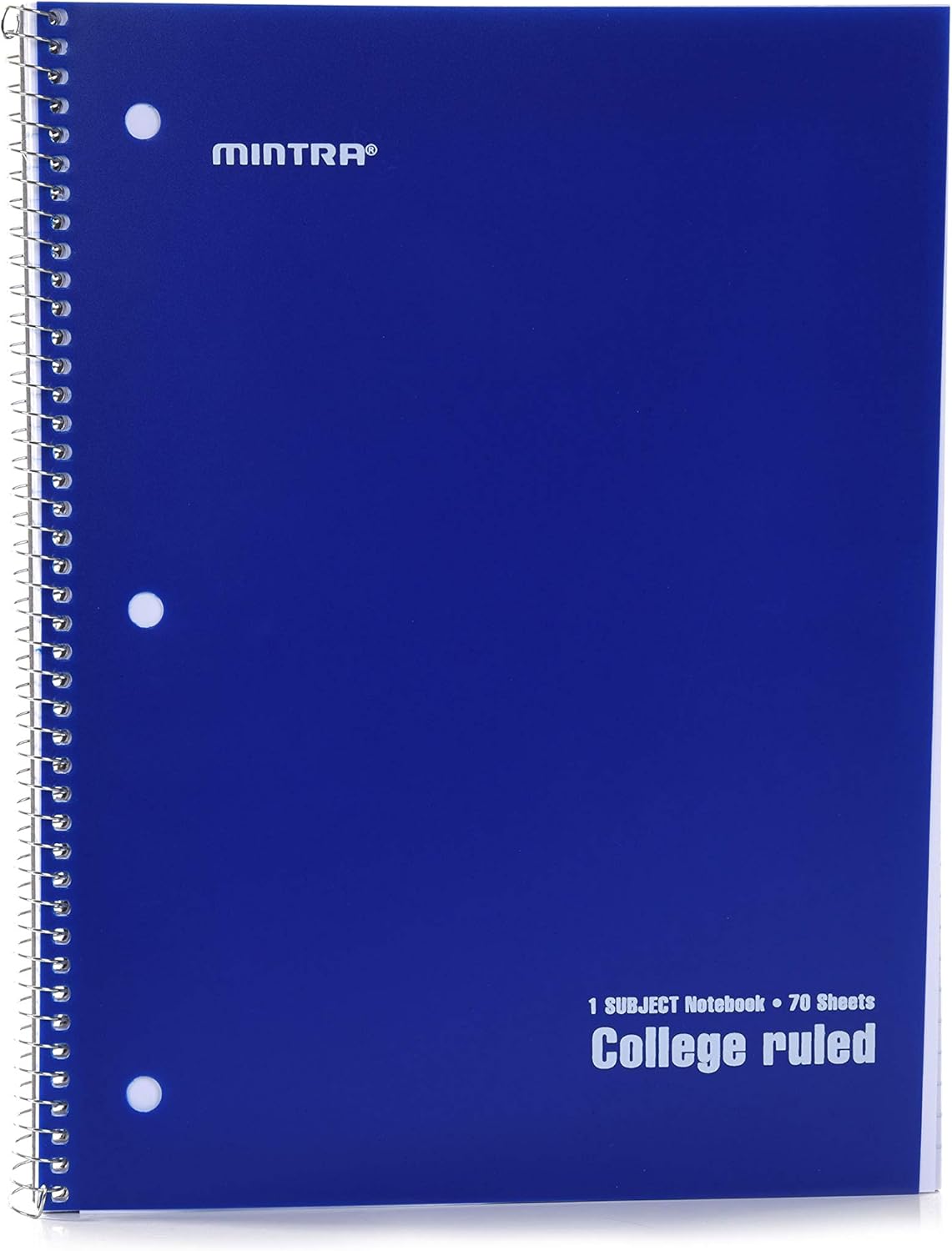 Mintra Office Spiral Notebooks, Wirebound, Journals for School, Work, Business, Aesthetic Stationery, Writing Pads, Teacher & Student Supplies (6, Pastel, College)