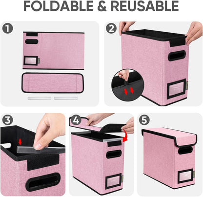 BALEINE File Organizer Box with Lid, Collapsible File Folder Organizer with Plastic Slide, Hanging File Folder Box for Office Document Storage (1 Pack, Black)