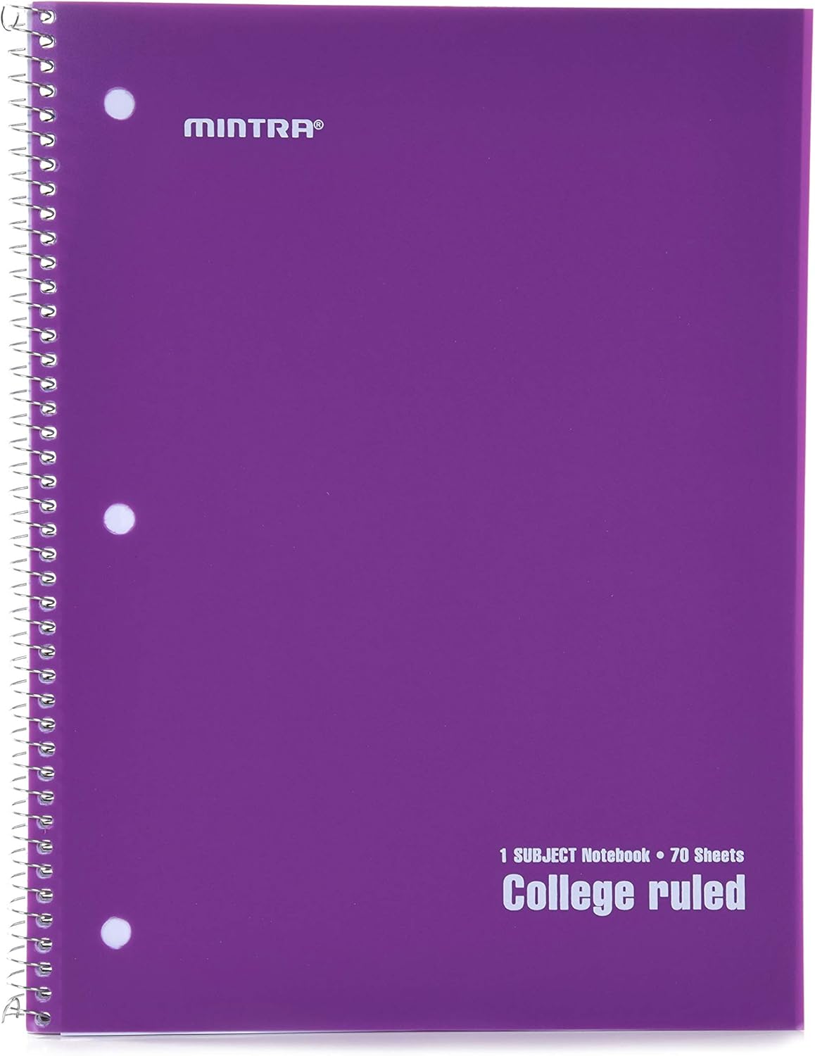 Mintra Office Spiral Notebooks, Wirebound, Journals for School, Work, Business, Aesthetic Stationery, Writing Pads, Teacher & Student Supplies (6, Pastel, College)
