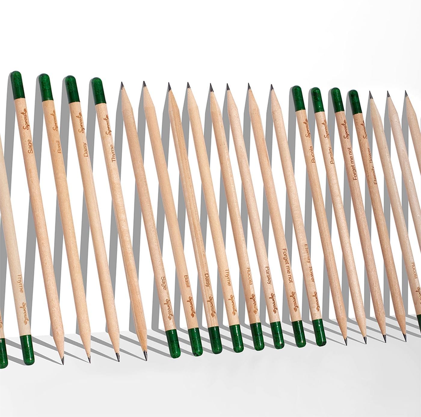 SproutWorld Wood-Cased Pencils | Teacher's Edition | HB Pre-Sharpened Graphite Plantable Wooden Pencils with flower, Herb & Vegetable Seeds | Gift for Teachers | 32 Pack