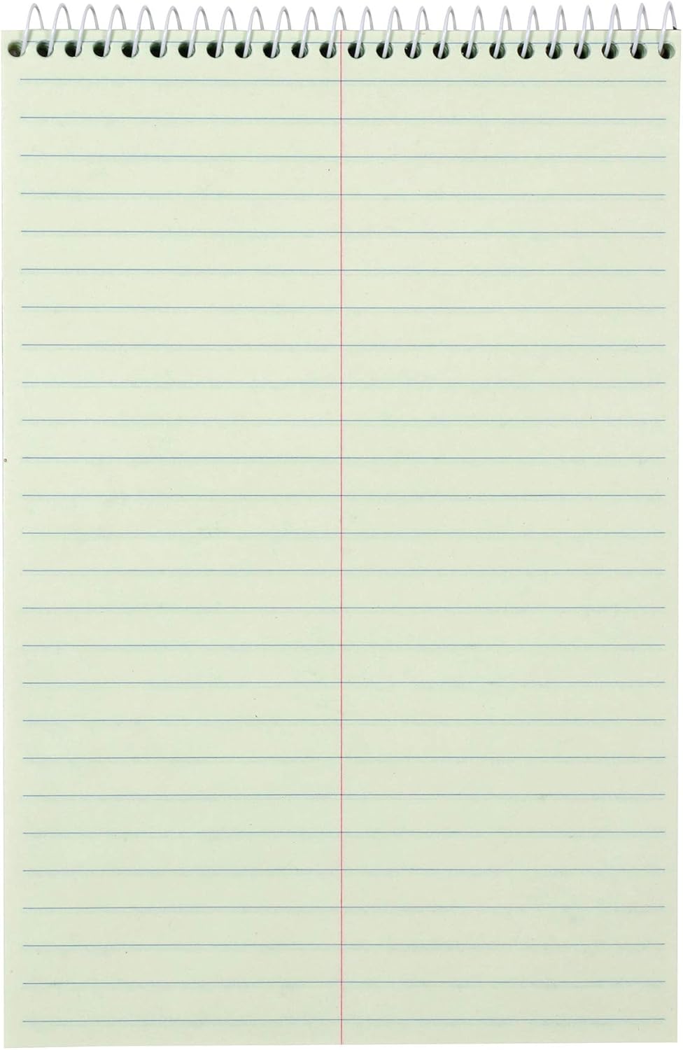Amazon Basics Steno Notebooks, Gregg Rule, Green Paper for Notes, 80 Sheets, 6" x 9", 12-Pack