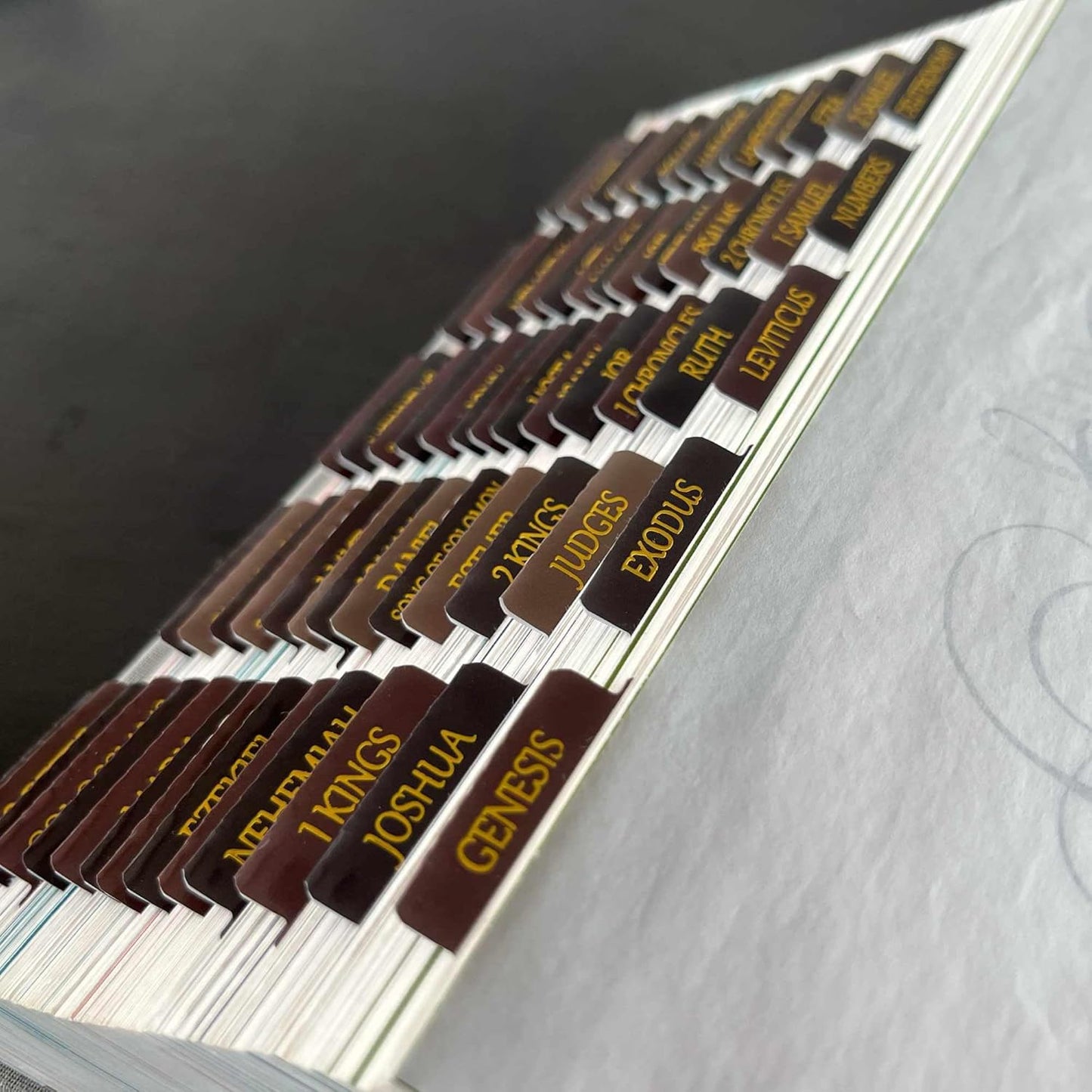 Thinkor Reposition Laminated Bible Tabs, Large Print Stickers, Easy to Read & Apply Bible Tabs for Women & Man (Earthy Brown)
