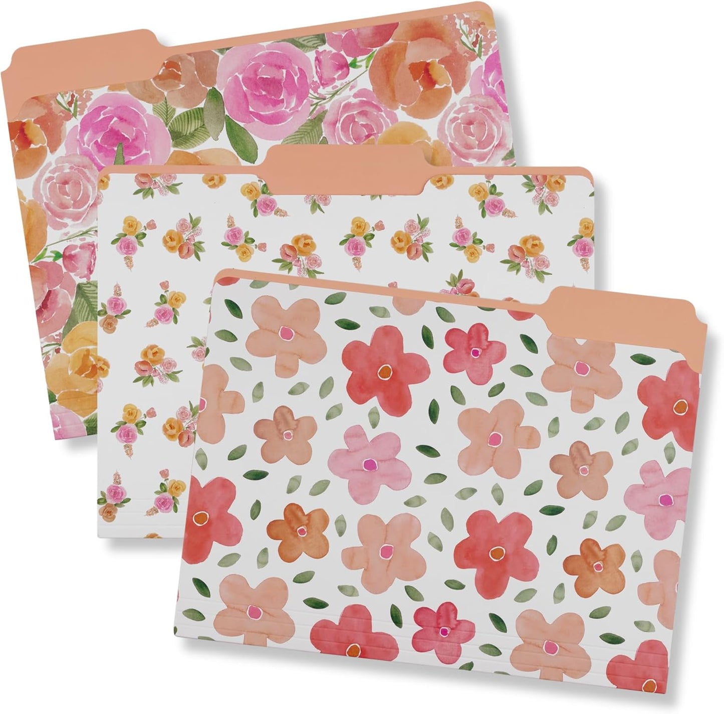 Steel Mill & Co Cute File Folders, Set of 9, Document Organizer for Filing Cabinet, Decorative Letter Size Files, Wanderlust