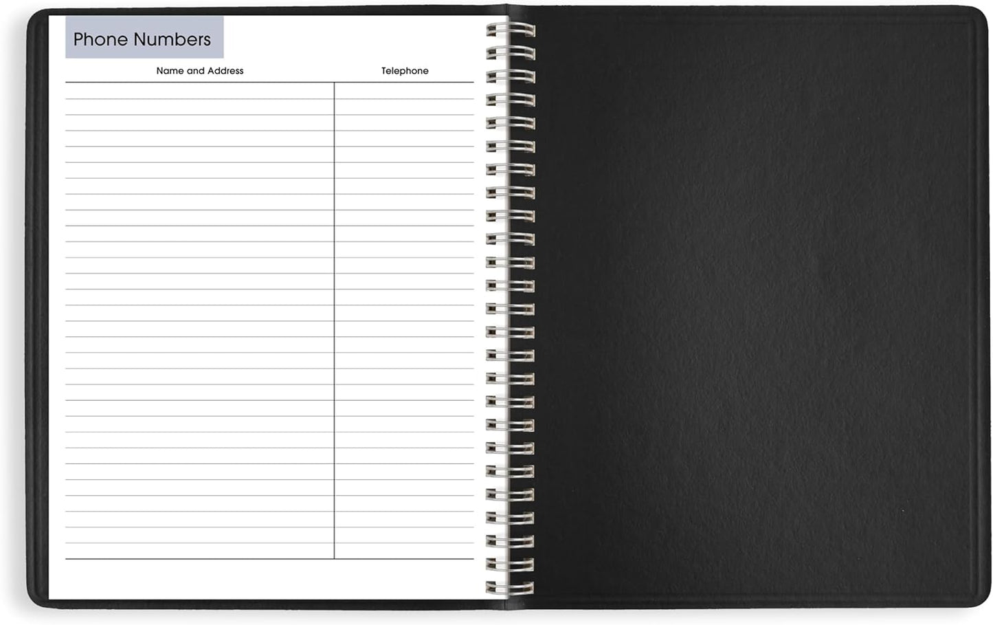 AT-A-GLANCE 2026 Appointment Book Planner, Weekly, 5" x 8", Small, DayMinder, Black (G2000026)