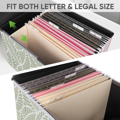 BALEINE File Organizer Box with Lid, Collapsible File Folder Organizer with Plastic Slide, Hanging File Folder Box for Office Document Storage (1 Pack, Black)