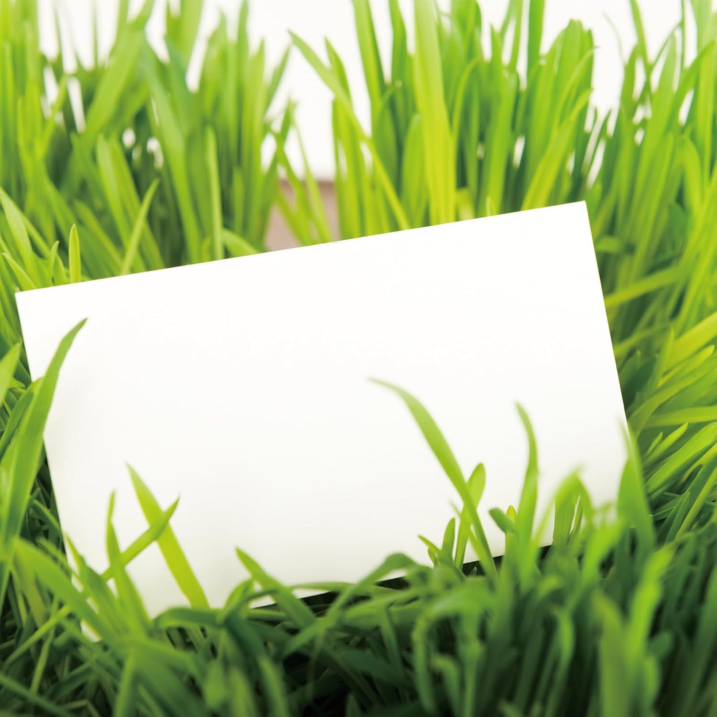 100 Sheets blank cardstock 2 x 3.5 In Heavy Weight business Card Stock 350gsm/130lb Learning Card, Note Card, Thank You Inserts, Gift Tags, Paper Crafts, Write, Draw, DIY (2X3.5 Inches)